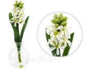 Decorative flowers Hyacinth in a vase Size: 10x10x22.5 cm Color: white