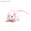 Мягкая игрушка «Крыса белая», 12 см