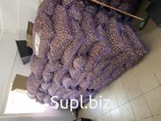 Грецкий орех в скорлупе из Краснодарского края