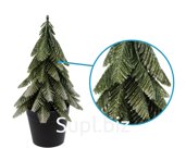 Decorative spruce in a pot. Size: 13x13x23 cm.