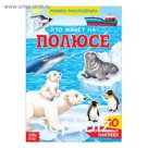 Книга с наклейками «Кто живёт на полюсе», 40 наклеек