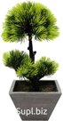 Decorative Bonsai tree in a pot. Size: 235x235x260mm.