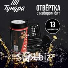 Набор инструментов ТУНДРА, подарочный пластиковый кейс «Банка», 13 предметов
