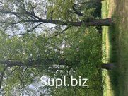 Фасовка обсуждается индивидуально
