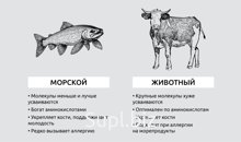 Коллаген морской