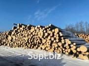 Бревна еловые для распиловки и строгания Диаметр от 18 см и выше