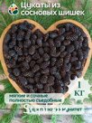 Цукаты из сосновых шишек 1 кг