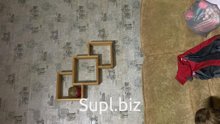 Готовы работать с любым количеством и габаритами