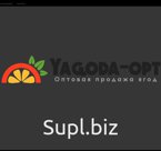 Состав: фасоль стручковая, перец, лук репчатый, морковь кубик, кукуруза, горошек зеленый. Вес упаковки 10 кг. Телефон +7 (495) 999 79 83