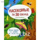 Насекомые за 30 секунд. Клейборн А.