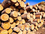 Средний диаметр 22 см