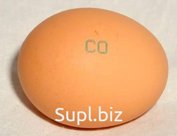 Яйцо столовое сорта СВ, СО, С1, С2, С3