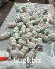 Чеснок китайский
