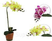 Decorative Orchid Flower in a Pot Size: 120x120x480mm