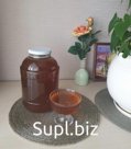 Продам мёд таёжный дягилевый