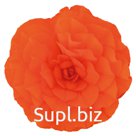 Бегония (Begonia tuberhybrida ). Nonstop. Orange