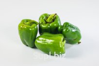 Перец зеленый (свежий)