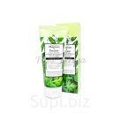 GRACE DAY REAL FRESH MUGWORT &#038; TEA TREE FOAM CLEANSING 100ml Пенка с экстрактами полыни и чайного дерева 100мл