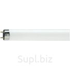 Лампа люминесцентная Philips TL-D G13 18W/54-765 SLV (короткая)