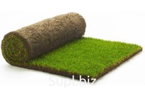 Рулонный газон Эконом