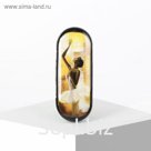 Футляр для очков «Балерина», отдел на клапане, цвет МИКС
