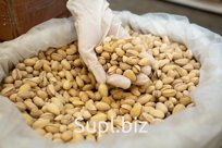 Фисташки Ахмад-Агаи Микс, жареные, соленые – Иран – мешок 25 кг R0919