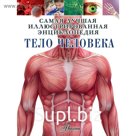 Тело человека