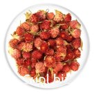 Гофмена (розовые шишечки похожи на клевер)