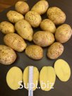 картофель