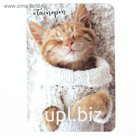 Обложка для паспорта "Котёнок"