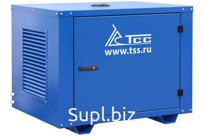 Бензогенератор TSS SGG 6000EH3NA