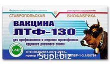 Вакцина ЛТФ-130 от трихофитоза (лишая) КРС 40 доз во флаконе