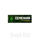 Семена Овсяница луговая Свердловская 37 (РС1)