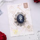 Брошь "Камея" в лавре, цвет серый в серебре