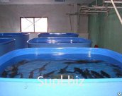 Компания ООО "ДельтаПолимер" предлагает изготовление бассейнов для транспортировки рыбы. Современные полимерные материалы, пластики и композиты обладают уникал…