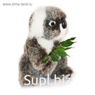 Мягкая игрушка «Коала», 21 см