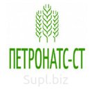 Гречка