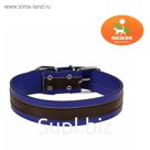 Ошейник 66 х 3,5 см, двухслойный, коричнево-синий