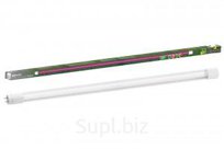 TDM лампа св/д для растений T8-18W-230В-G13 "ФИТО" 1200мм 27.21мкмоль/с SQ0340-0239 (1/25)
