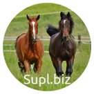 Кормовая травосмесь выпас