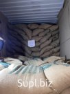 кофе в зернах(зелёный) ARABICA SCR18, ROBUSTA S18