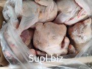 Зам. и охл. Мясо кур маточник
