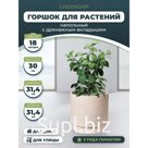 Средний круглый горшок для цветов бежевый 31,4x30 GreenShip