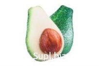 Anti-stress toy Avocado small 20 cm Item: МТ11011_conclusion