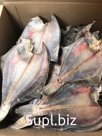 Камбала белобрюхая вяленая