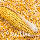Wheat, barley, corn, soya beans for export