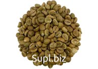 Кофе Robusta Cherry A, scr 16/17, unwashed