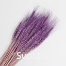 Эко-декор колоски фиолетовые For you with love, 80 см, 50 шт