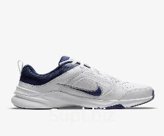 Кроссовки Nike Defy All Day Dj1196-100