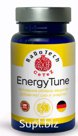 ЭнергоТюн (EnergyTune)